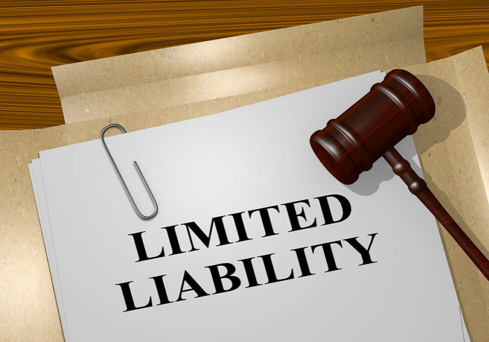 TrezzaDox-Limited-Liability-Company-Legal-filing
